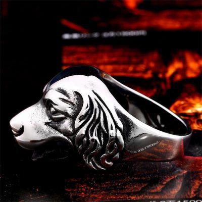 Stainless Steel Dog Ring