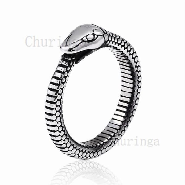 Simple Stainless Steel Serpentine Ring