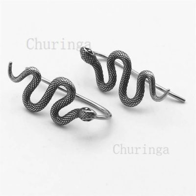 Vintage Snake Design Stainless Steel Earrings