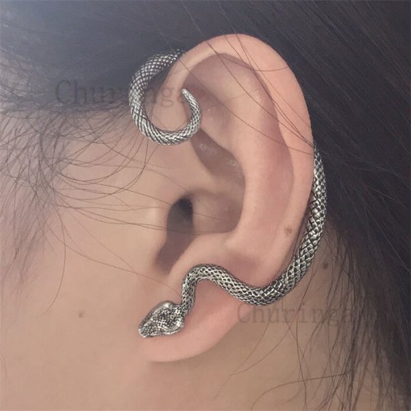 Stainless Steel Vintage Snake Left and Right Earrings